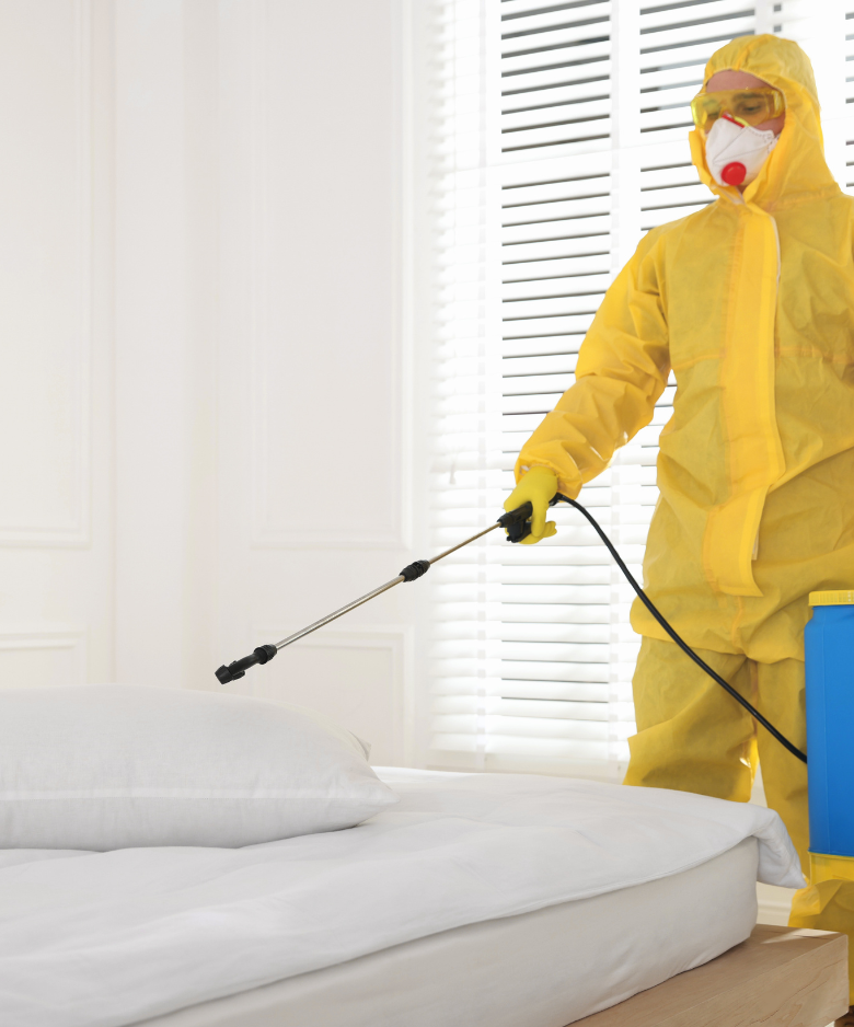 Professional Pest Control Team in Glanville
